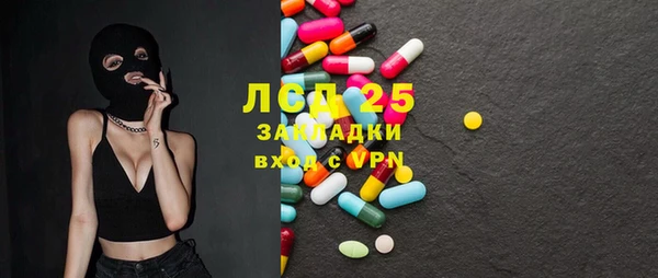 PSILOCYBIN Горнозаводск