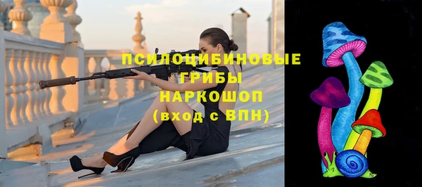 крисы Горняк