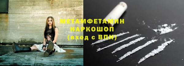 крисы Горняк