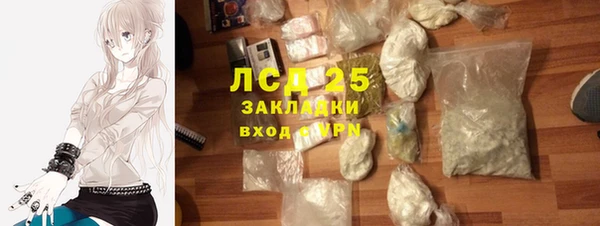 крисы Горняк