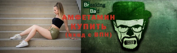 крисы Горняк