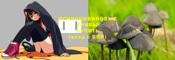 тгк Горно-Алтайск