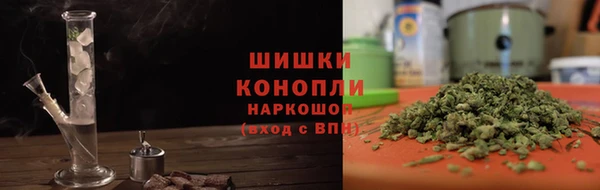 PSILOCYBIN Горнозаводск