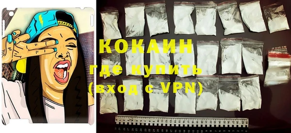 крисы Горняк
