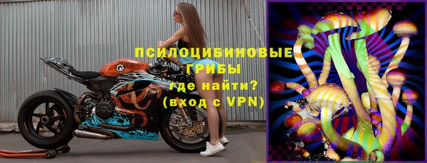 PSILOCYBIN Горнозаводск