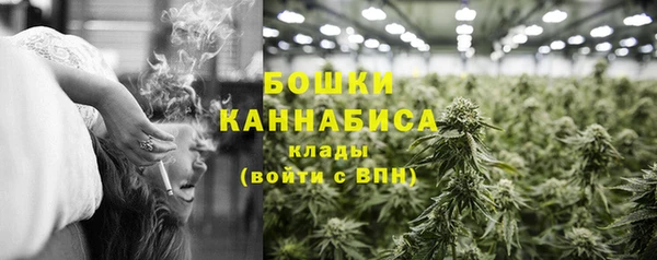 крисы Горняк