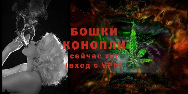 тгк Горно-Алтайск
