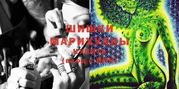 PSILOCYBIN Горнозаводск
