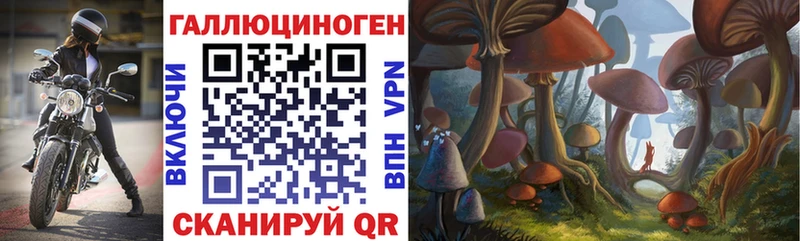 Купить  Ухта  Галлюциногенные грибы MAGIC MUSHROOMS 